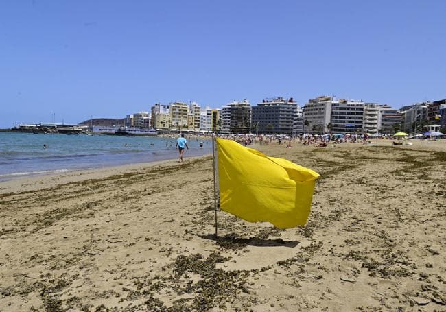 Bandera amarilla que desaconseja el baño en Las Canteras por las microalgas.