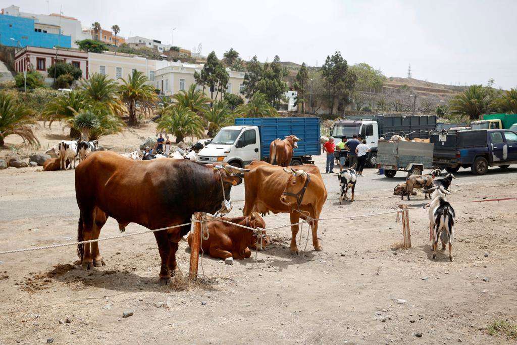 La procesión de San Lorenzo, en imágenes