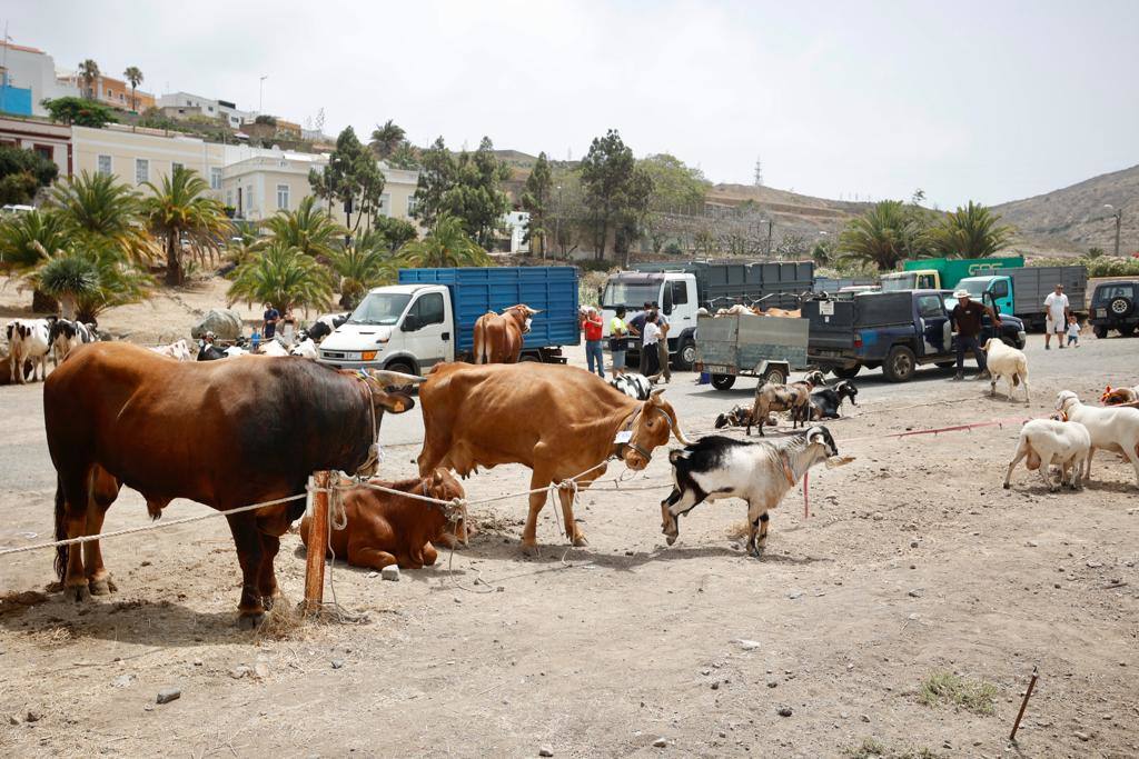 La procesión de San Lorenzo, en imágenes