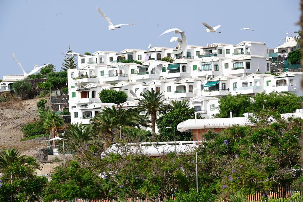 Zafarrancho en el Parque del Sur