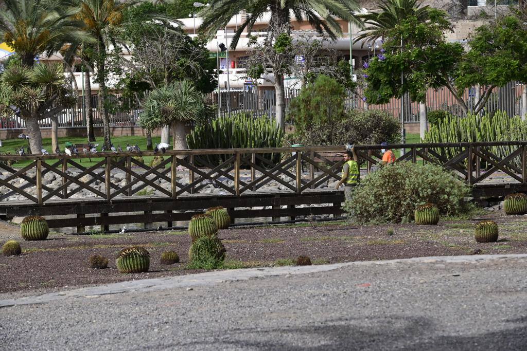 Zafarrancho en el Parque del Sur