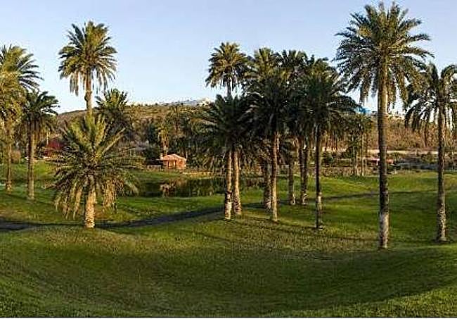 Vista del estado actual de la parcela del campo de golf de El Cortijo de Telde.