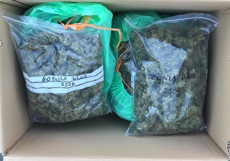 Incautan 8 kilos de cogollos de marihuana en una tienda de CBD en Las Palmas de Gran Canaria