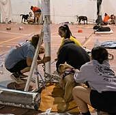 El fuego empuja a realojar 200 perros en un pabellón