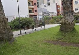 Imagen de archivo del parque Pino Apolinario, en Guanarteme, donde ocurrieron los hechos.