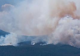 El incendio forestal avanza sin control por once municipios de Tenerife, entre ellos en Santa Úrsula, cuyos montes se ven en la imagen.