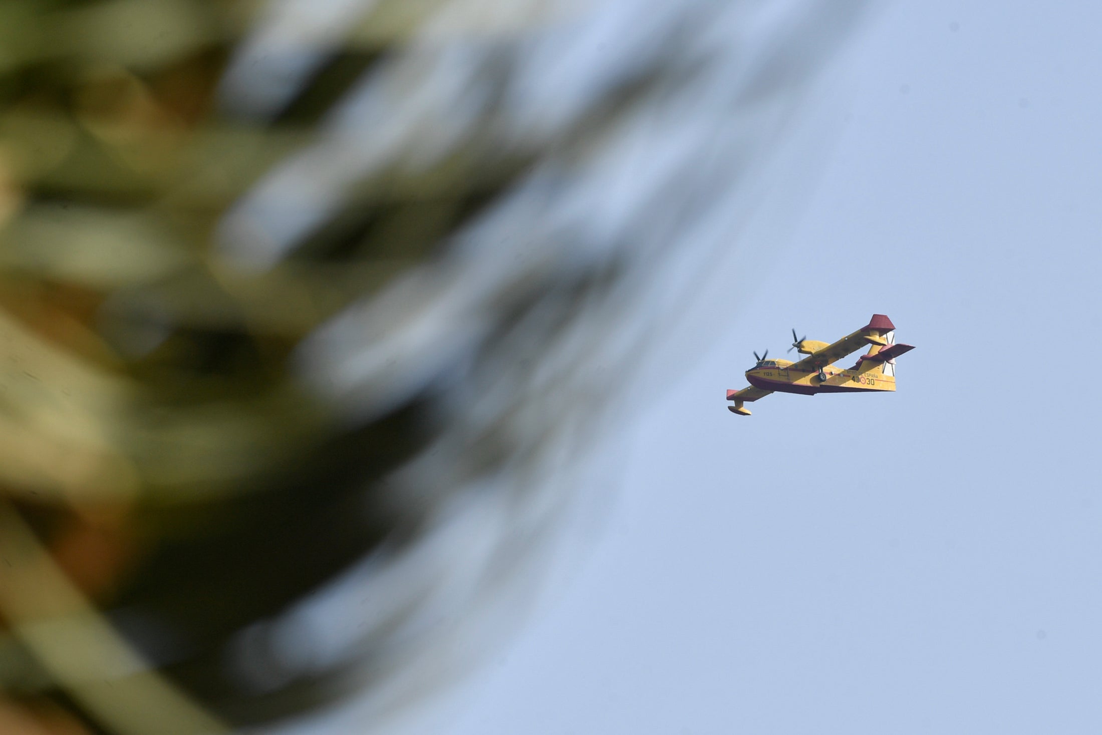 Hidroaviones: La estela de la esperanza sobre Tenerife