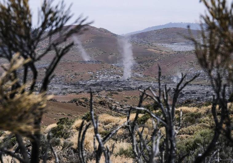 Así ha quedado la zona quemada en el Parque Nacional del Teide.