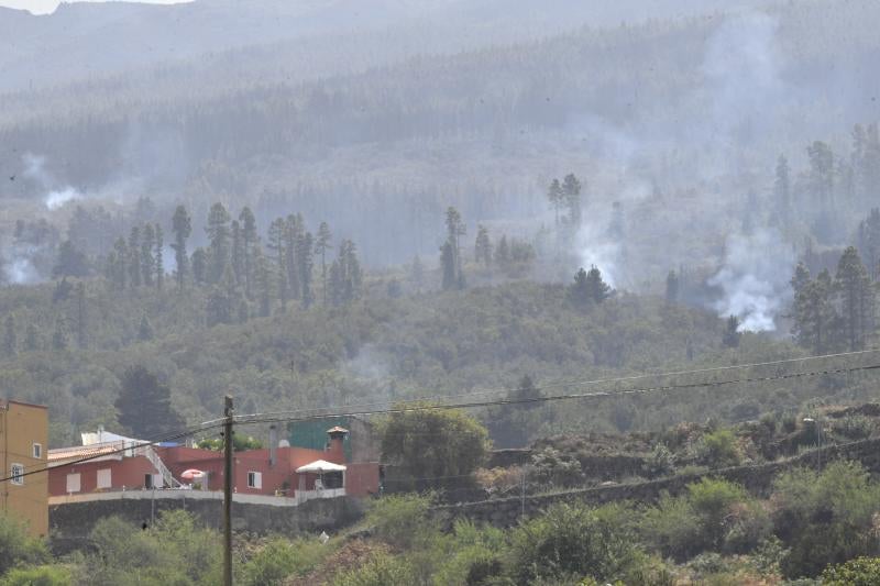 Las secuelas del fuego en Tenerife