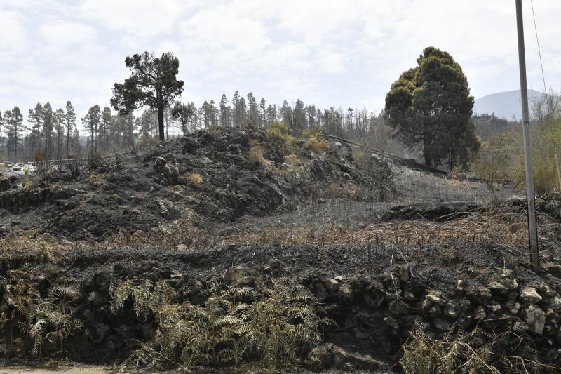 Las secuelas del fuego en Tenerife