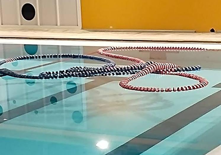 Imagen principal - Algunos de los desperfectos de la Piscina Municipal de Aldea Blanca. 