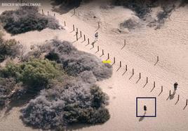 Un persona es captada por un dron fuera del sendero autorizado en las Dunas de Maspalomas.