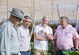 De izquierda a derecha, Roberto Rodríguez, Narvay Quintero, Fernando Clavijo y Rafael Hernández, durante su visita a una finca en Güímar.