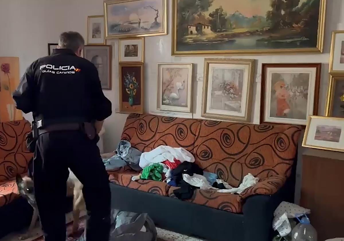 Cae una red criminal que regularizaba a migrantes con documentos falsificados en Gran Canaria