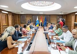 Imagen del Consejo de Gobierno celebrado esta semana en Las Palmas de Gran Canaria.