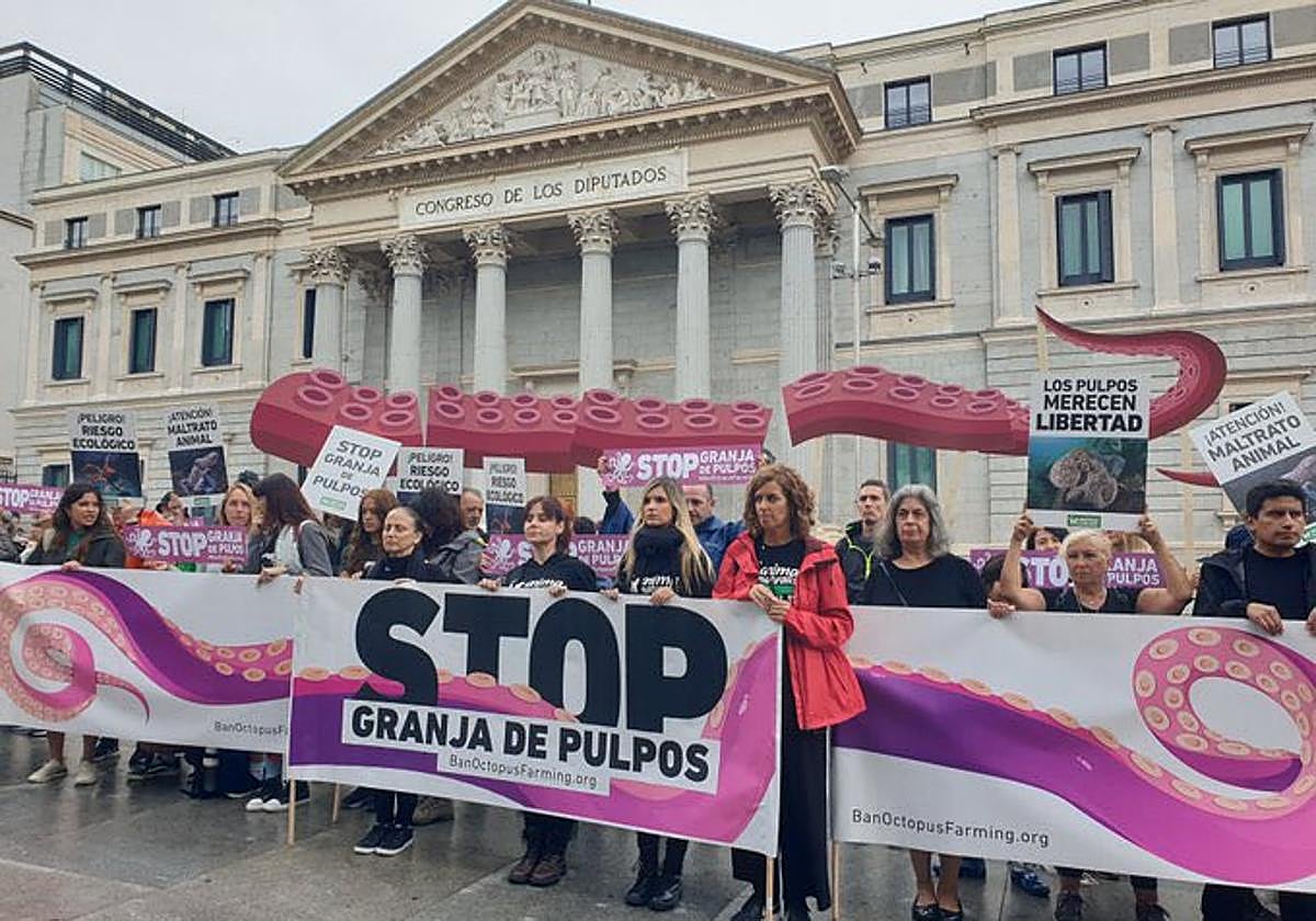 Protesta este domingo en Madrid.