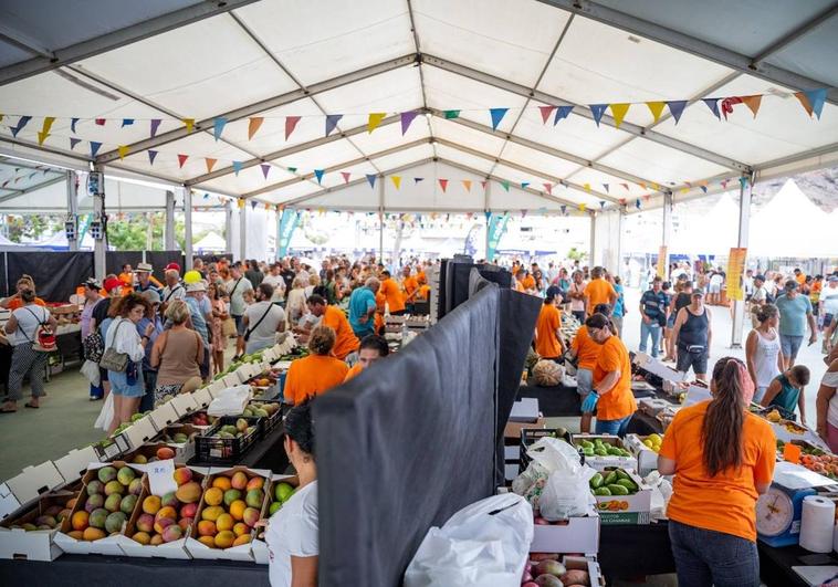 Los mangos y aguacates de Mogán atrajeron a 10.000 personas