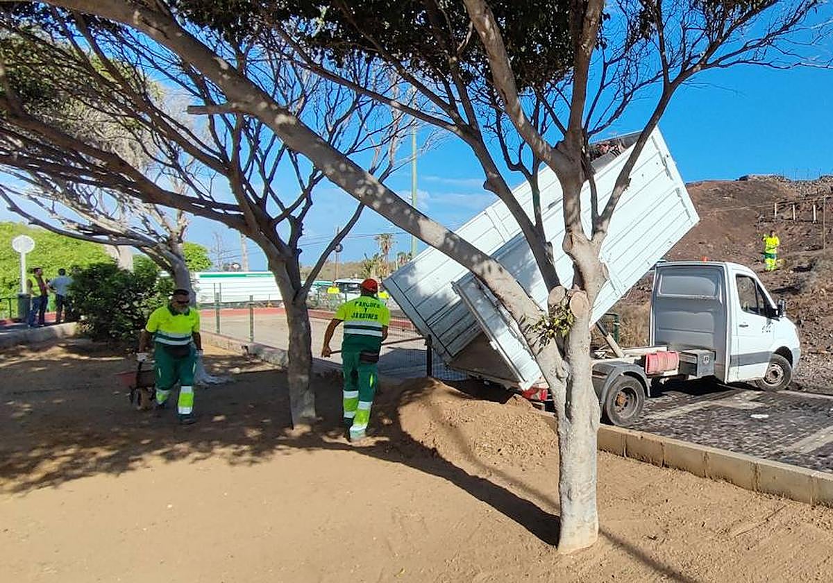 El plan de choque de Limpieza y Jardines retira 25 toneladas de poda y basura