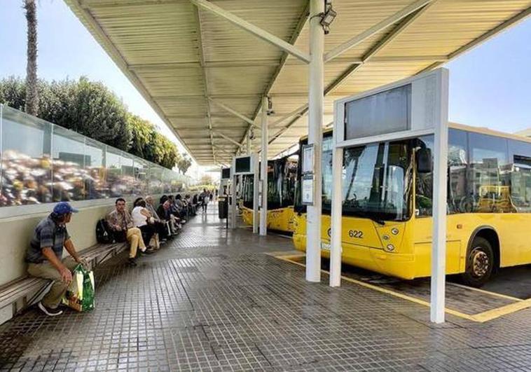81 millones para la gratuidad del transporte público en Canarias