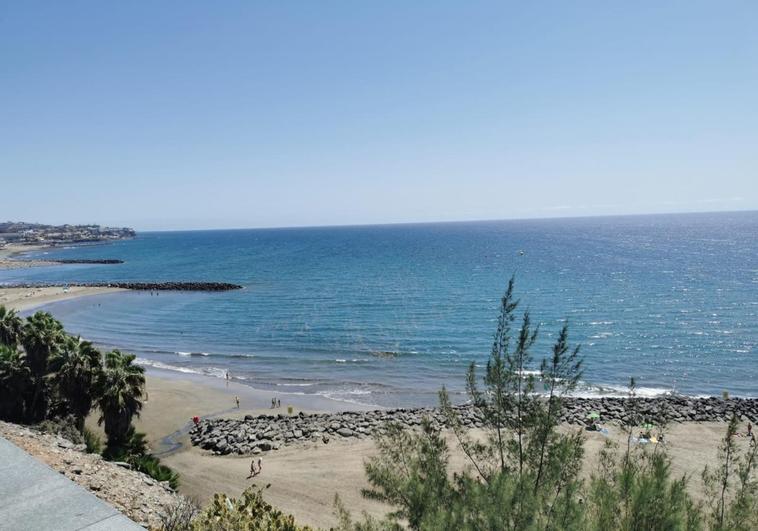Vuelven las microalgas al sur de Gran Canaria