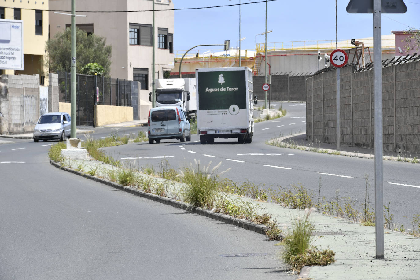 El rabo de gato ha hecho suyas las aceras de El Sebadal.