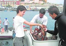 ¿Especies dignas o indignas?