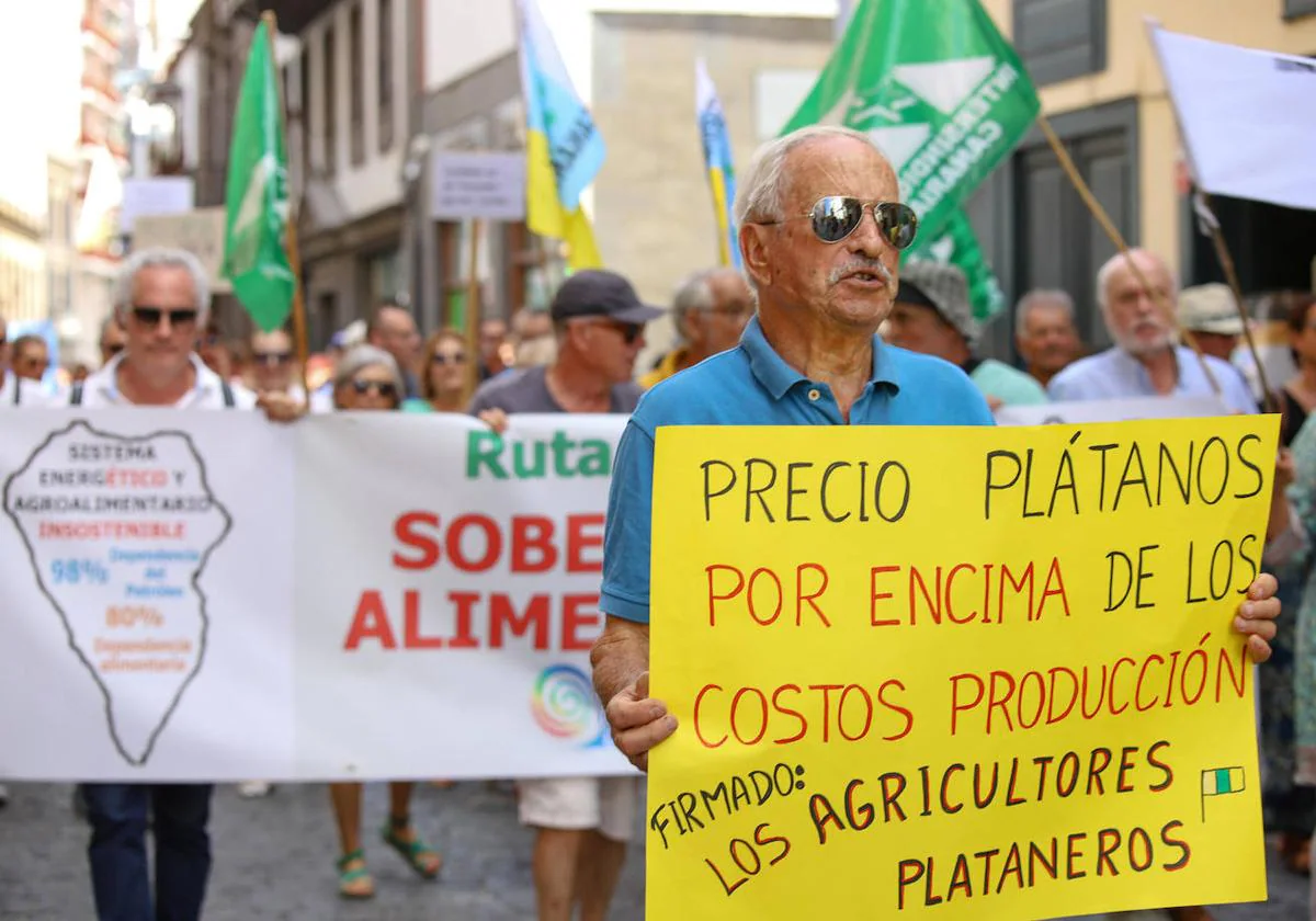 Agricultores se manifiestan en La Palma «por un precio justo» del plátano canario