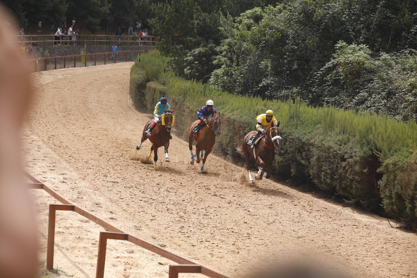 Imagen secundaria 1 - Tradiciones y turismo en Valleseco