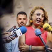 CC se «traga el sapo» de votar con Vox para «defender a Canarias»