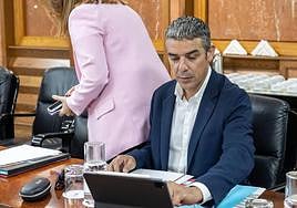 El consejero de Agricultura, Narvay Quintero, durante la reunión del Consejo de Gobierno.