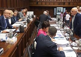 Imagen de la sesión plenaria celebrada en la mañana de ayer.