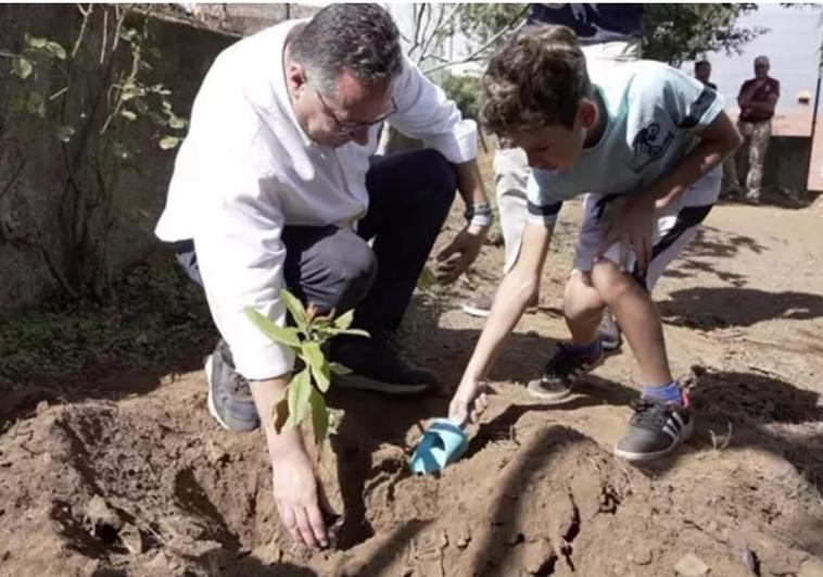 Casi un millar de colegios e institutos plantan árboles por el incendio de Tenerife