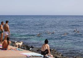Canarias decreta la prealerta por calor desde este domingo