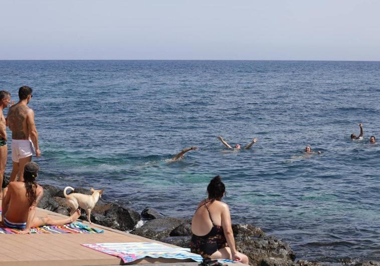 Bañistas sofocan el calor este sábado en la playa en Gran Canaria.