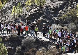 La edición de 2023 tiene como propósito la lucha contra el cáncer.
