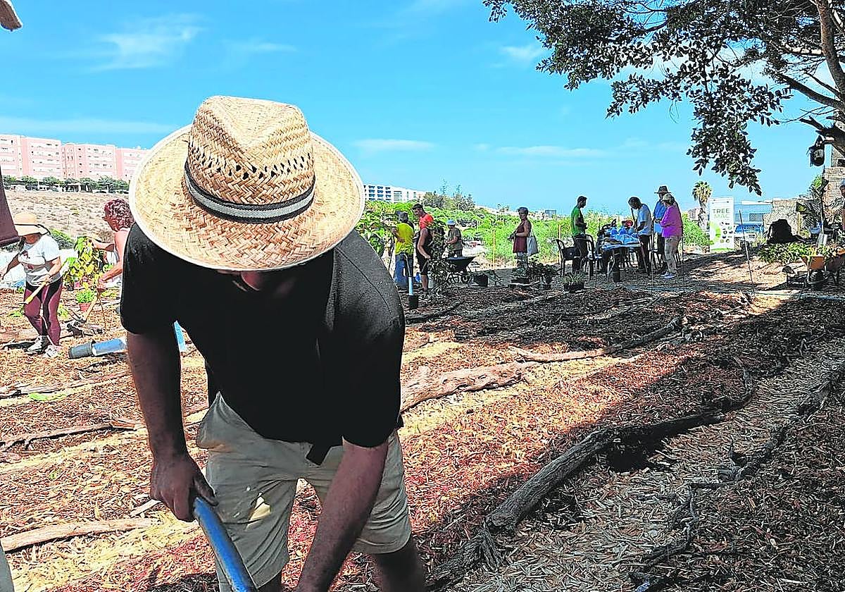 El Cabildo y la Fundación Lidia García, a través de la participación ciudadana, trabaja en la creación de una zona productiva en Los Tarahales.