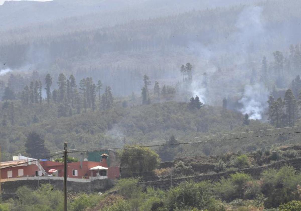 El Fuego De Subsuelo Y Las Reactivaciones Mantienen En Nivel 2 El Incendio De Tenerife Canarias7 2670