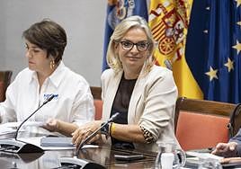 La consejera canaria de Sanidad, Esther Monzón, ayer en la comisión de Sanidad del Parlamento de Canarias.
