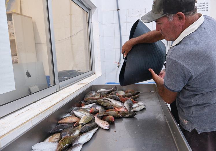 Perdomo deposita el pescado en la lonja de Corralejo.