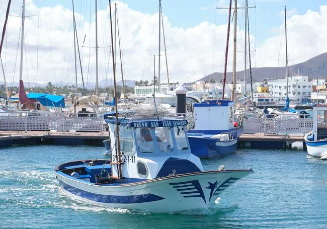 Suso Perdomo Santana, en su barco 'Nuevo San Juan Segundo', entrando en la zona de pantalanes de pesca del muelle de Corralejo, en el municipio de La Oliva.