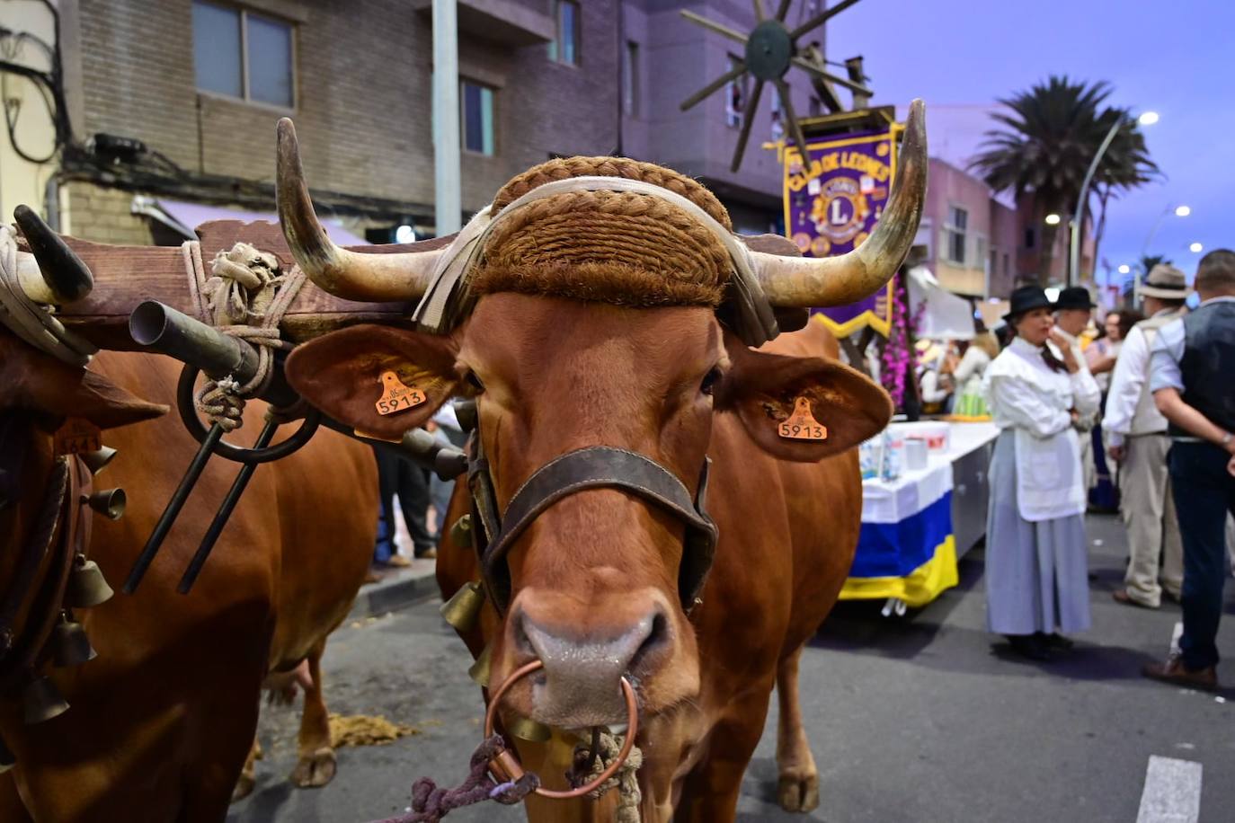 Miles de personas llenan las calles de Vecindario en la romería de San Rafael