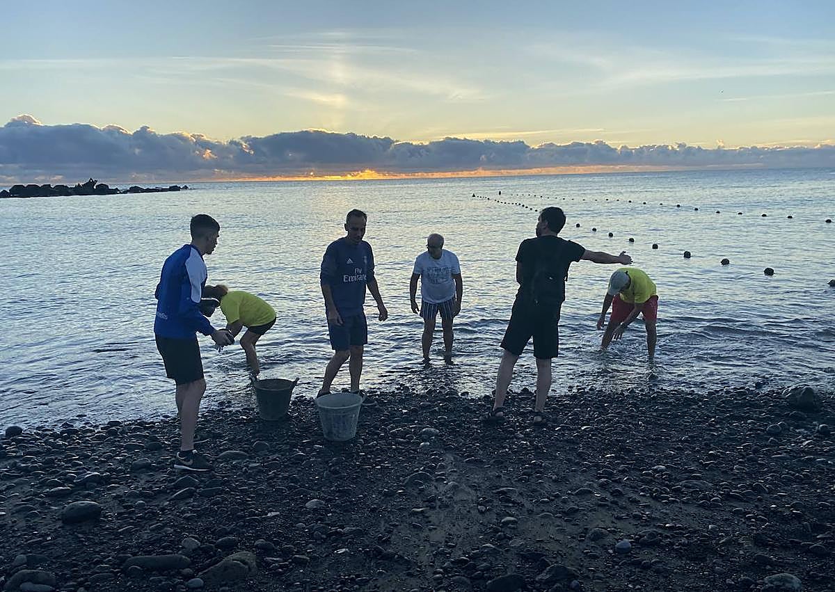 Imagen secundaria 1 - Diversos momentos de la iniciativa. En la foto superior, los veteranos de esta campaña de limpieza, Doores Valerón y Chano Viera, dos vecinos históricos de El Burrero.