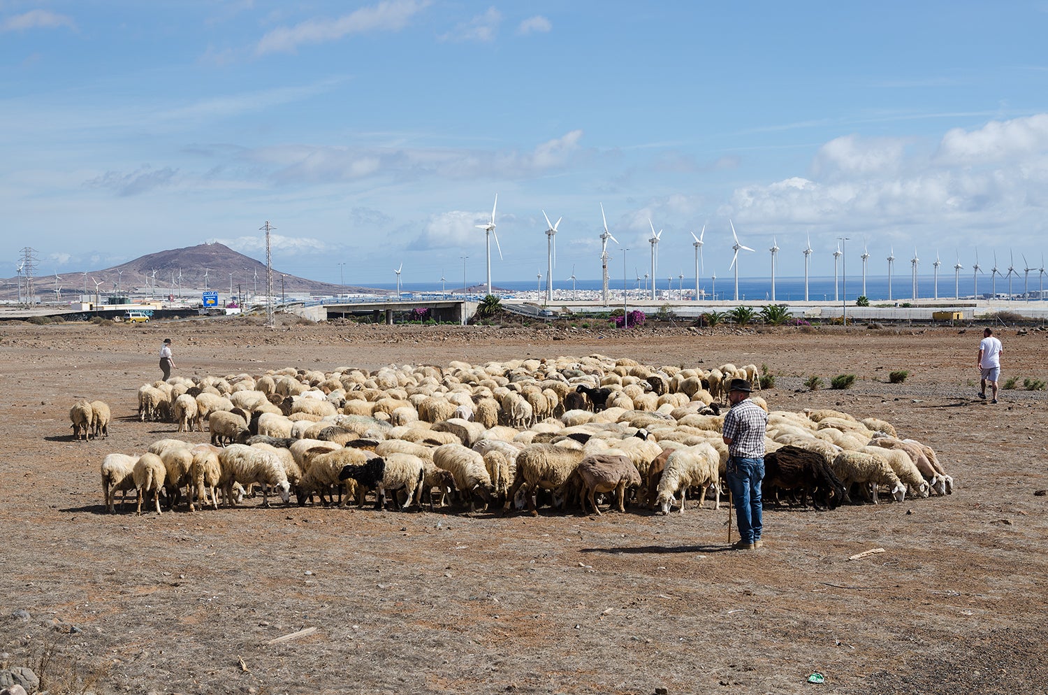 Santa Lucía de Tirajana honra a su copatrón, a San Rafael