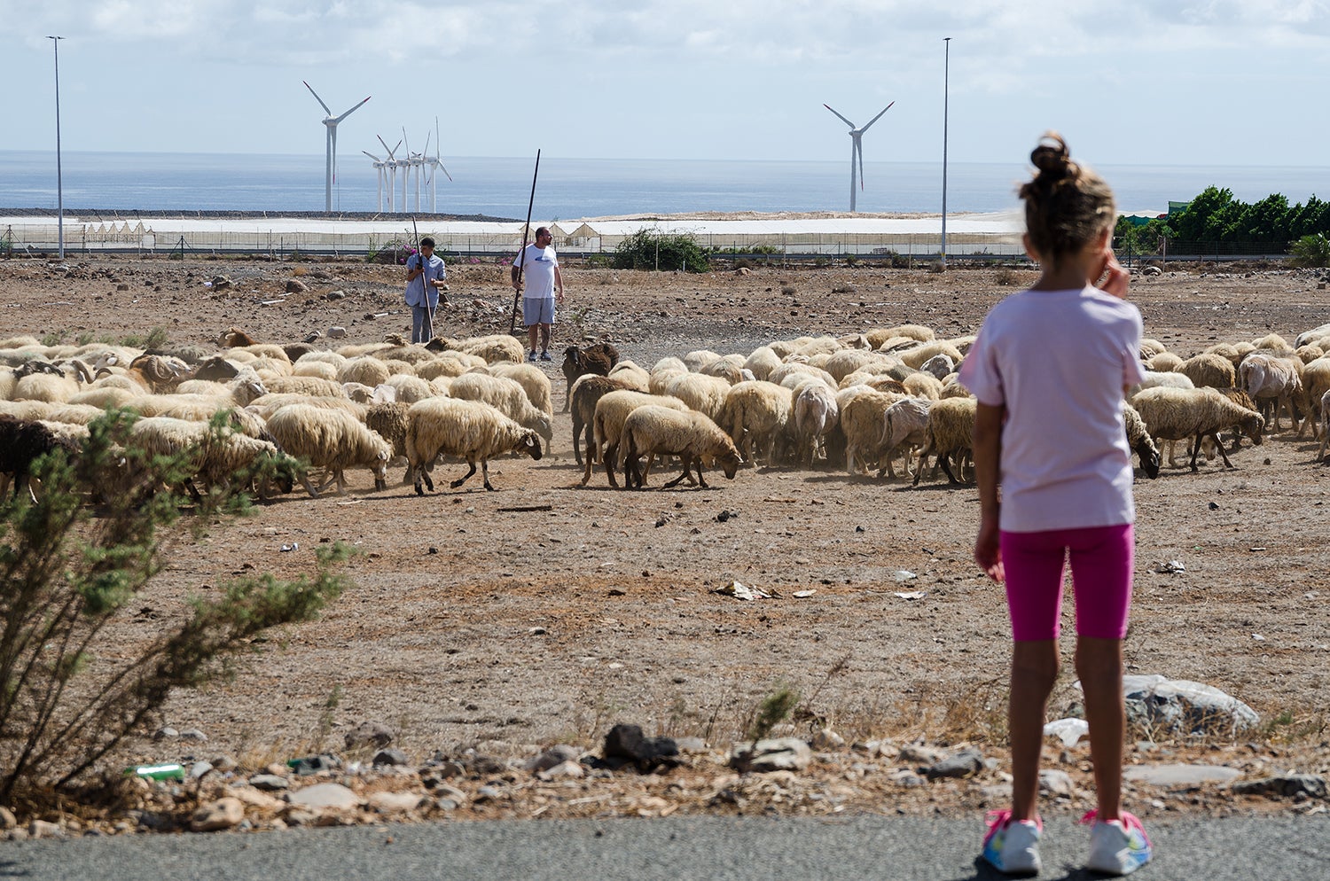 Santa Lucía de Tirajana honra a su copatrón, a San Rafael
