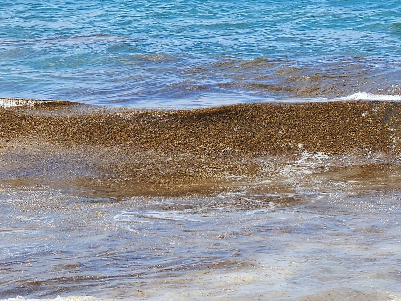 Sigue el fuerte oleaje en Las Canteras