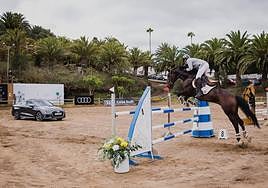 El Real Club de Golf de Las Palmas acogió una nueva edición del Concurso Nacional de Salto.