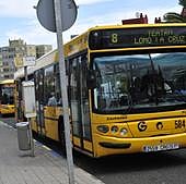 Rompen el cristal de una guagua con una piedra en la noche de Halloween