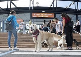Visitantes de Animundo con sus perros a las puertas de Infecar en una edición anterior de la feria.