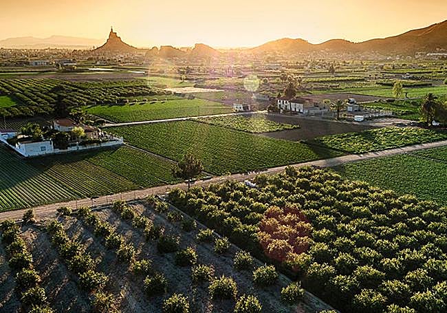 Huerta de Murcia.