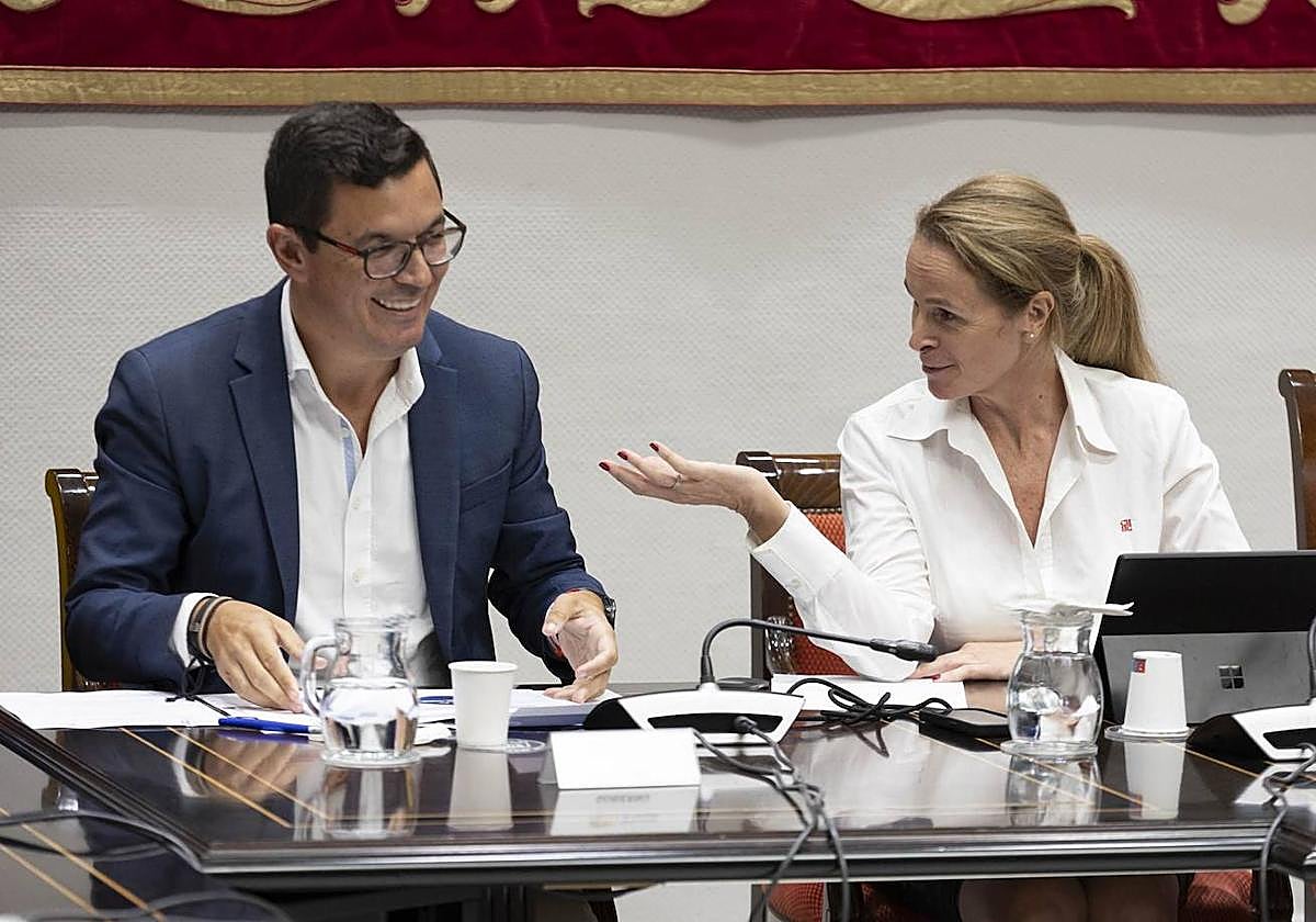 El consejero de Obras Públicas, Vivienda y Movilidad, Pablo Rodríguez (i), y la diputada del PP Luz Reverón (d).
